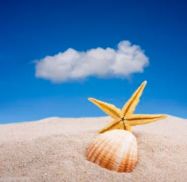 Starfish on the beach Stock Photos