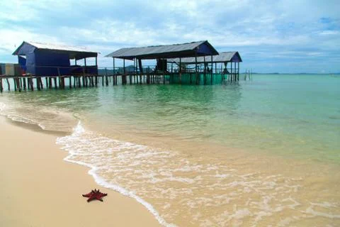 Starfish on the beach 스톡 사진
