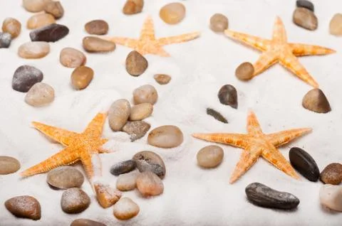 Starfish on the Beach Stock Photos