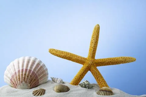 Starfish on the Beach Stock Photos