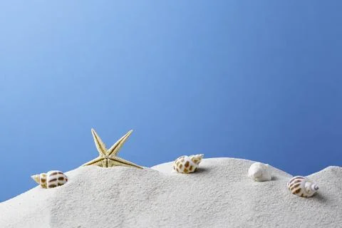 Starfish on the Beach Stock Photos