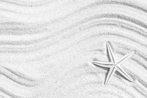 Starfish on beach sand with wave pattern, top view. Space for text Stock Photos