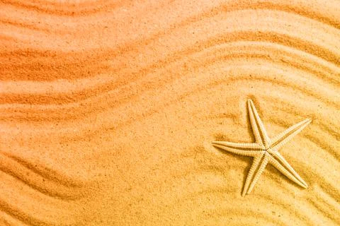 Starfish on beach sand with wave pattern, top view. Space for text Stock-Fotos