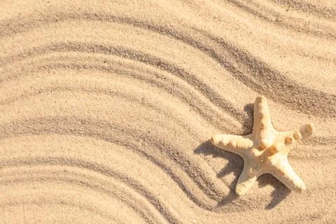 Starfish on beach sand with wave pattern, top view. Space for text Stock Photos