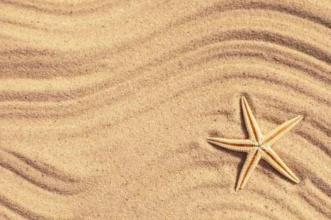 Starfish on beach sand with wave pattern, top view. Space for text Stockfoto's