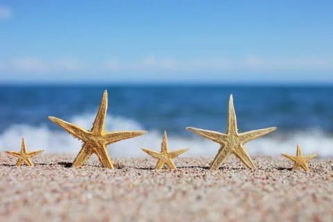 Starfish on the beach. Sandy beach with waves. Summer vacation concept. Stock Photos