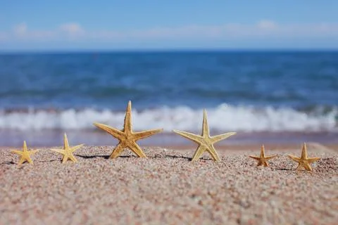 Starfish on the beach. Sandy beach with waves. Summer vacation concept. Stock Photos