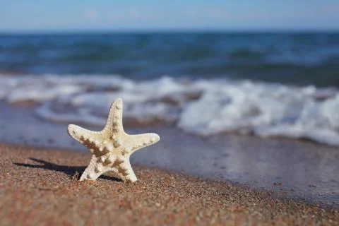Starfish on the beach. Sandy beach with waves. Summer vacation concept. Stock Photos