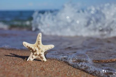 Starfish on the beach. Sandy beach with waves. Summer vacation concept. Stock Photos