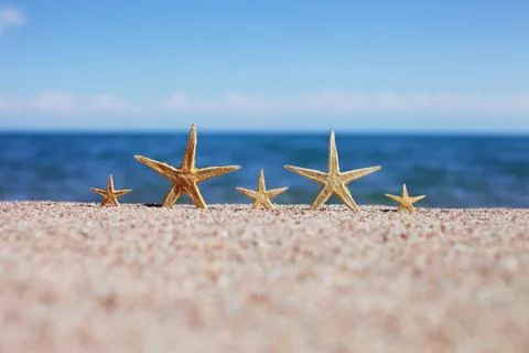 Starfish on the beach. Sandy beach with waves. Summer vacation concept. Stock Photos