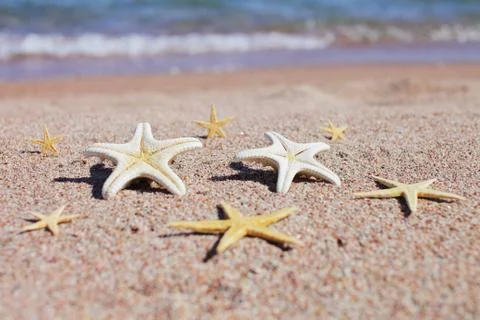 Starfish on the beach. Sandy beach with waves. Summer vacation concept. Stock Photos