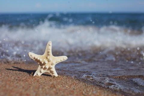 Starfish on the beach. Sandy beach with waves. Summer vacation concept. Stock Photos