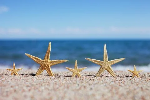 Starfish on the beach. Sandy beach with waves. Summer vacation concept. Stock Photos