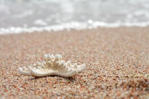 Starfish on the beach. Sandy beach with waves. Summer vacation concept. Foto stock