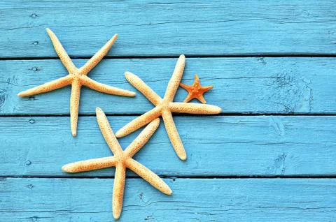Starfish on a blue background Stock Photos
