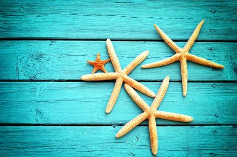 Starfish on a blue background Stock Photos