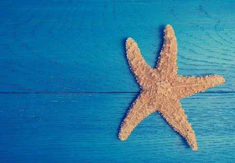 Starfish on blue Stock Photos