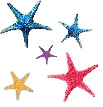 Starfish ceramic pearl gloss Illustrazione stock