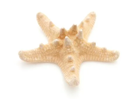 Starfish in closeup Stock Photos