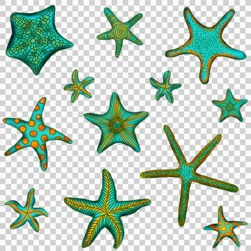 Starfish in colour Stock Illustration