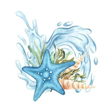 Starfish composition with algae seaweed kelp and water splash underwater. Hand Stock Illustration