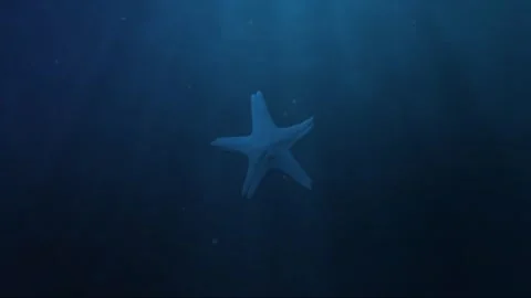 The starfish dance Stock Footage 154850845