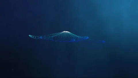Starfish in the depths of the ocean Stock Footage 154850835