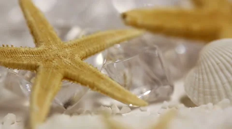 Starfish Detail Stock Footage 57750527