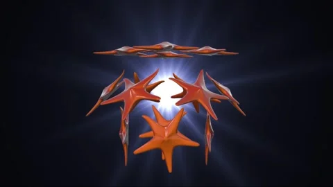 Starfish explosion Stock Footage 154850852