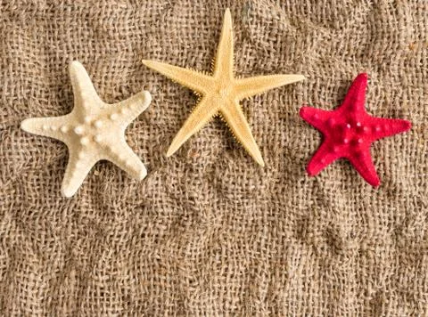 Starfish on flax background with space for text, banner or advertisement Fotos de archivo