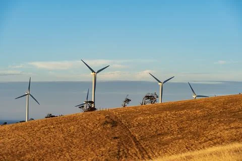Starfish Hill Wind Farm in Cape Jervis 스톡 사진