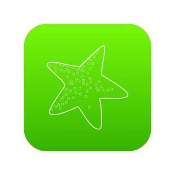 Starfish icon green vector Stock Illustration