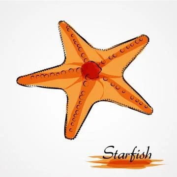Starfish Stock Illustration