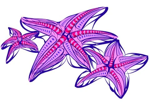 Starfish illustration Stock Illustration