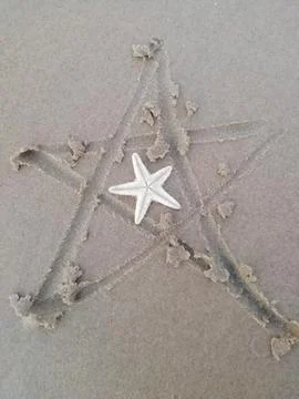 A starfish isolated on sand surface Foto stock