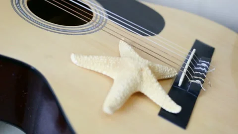 Starfish lying on the guitar. Close-up, side view, indoors, real time, natural l Stock Footage 87042215