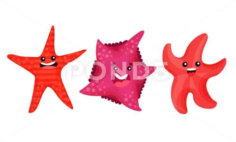 Star Fish Vector Art & Graphics