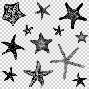 Starfish Pattern Stock Illustration