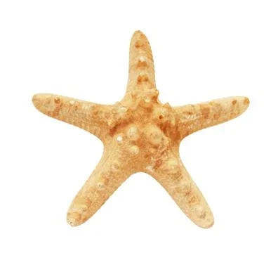 Starfish Stock-Fotos