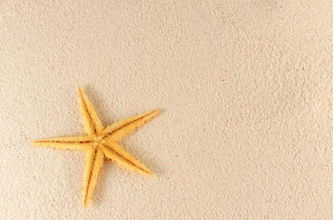 Starfish Stock Photos