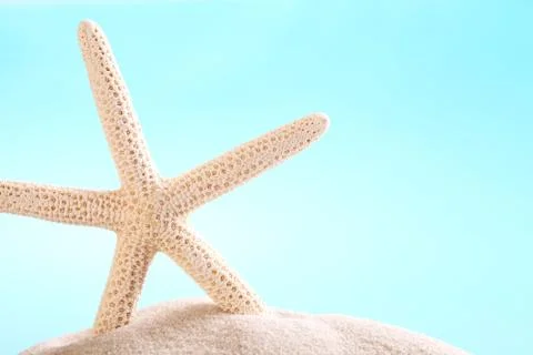 Starfish Stock Photos