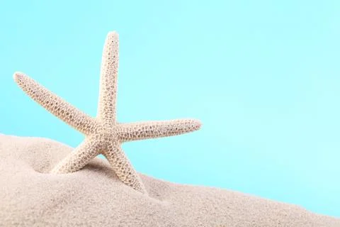 Starfish Stock Photos