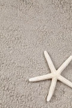 Starfish Stock Photos