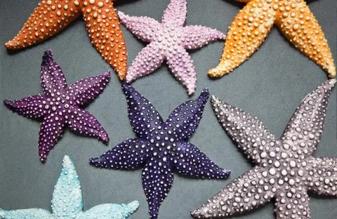 Starfish Stock Photos