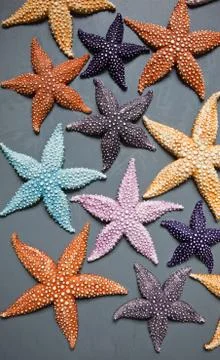 Starfish Stock Photos