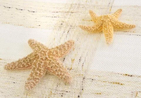 Starfish Stock Photos