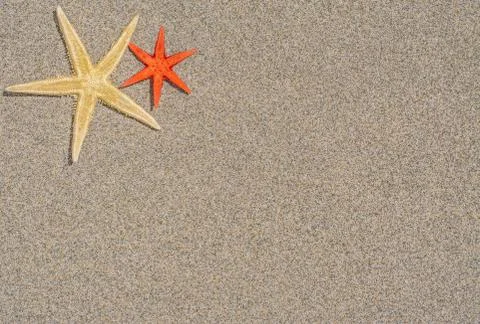 Starfish Stock Photos