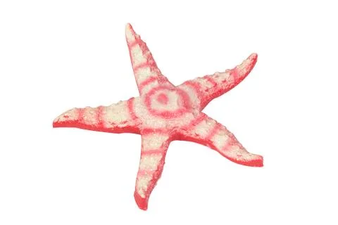Starfish Stock Photos