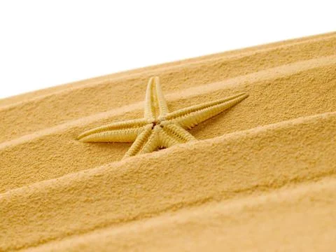 Starfish. Stock Photos
