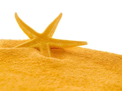 Starfish. Stock Photos
